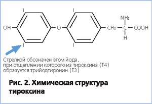 Химическая структура тироксина